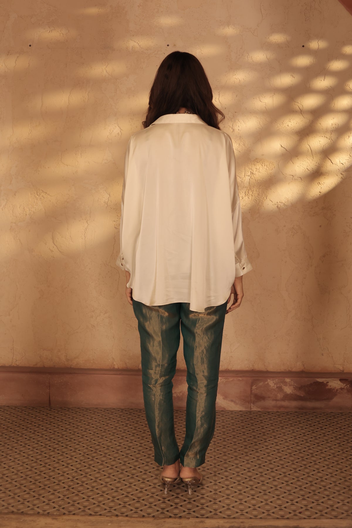 THE DRAGONFLY MUSE