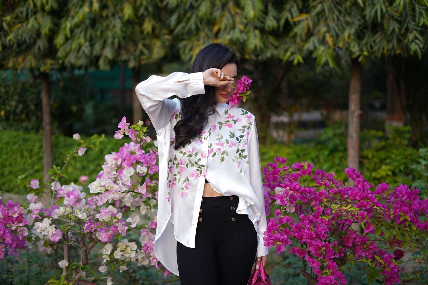 Bougainvilleas Bloom